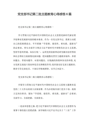 党支部书记第二批主题教育心得感悟6篇.docx
