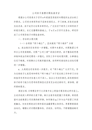 公司班子查摆问题检查发言.docx
