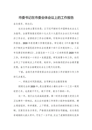 市委书记在市委全体会议上的工作报告.docx