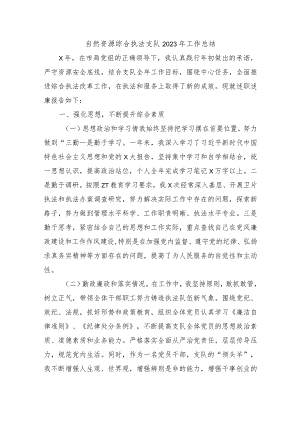 自然资源综合执法支队2023年工作总结.docx
