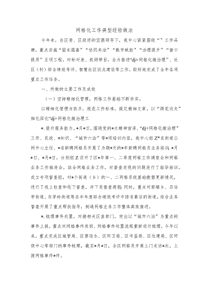 网格化工作典型经验做法.docx