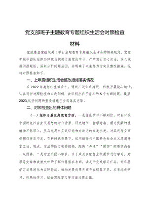 党支部班子专题组织生活会对照检查材料.docx