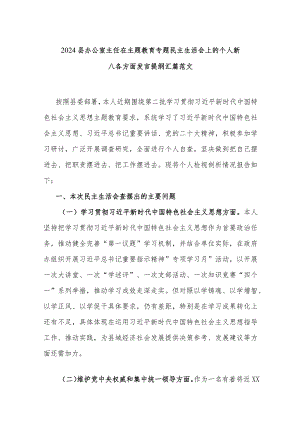 2024县办公室主任在主题教育专题民主生活会上的个人新八各方面发言提纲汇篇范文.docx