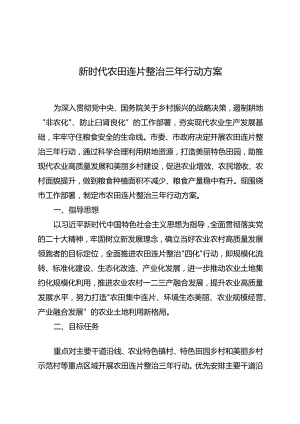 新时代农田连片整治三年行动方案.docx