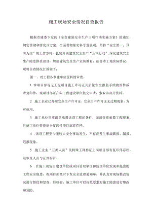 施工现场安全情况自查报告.docx