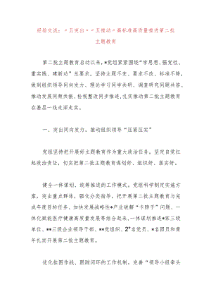 经验交流：“五突出”“五推动”高标准高质量推进第二批主题教育.docx