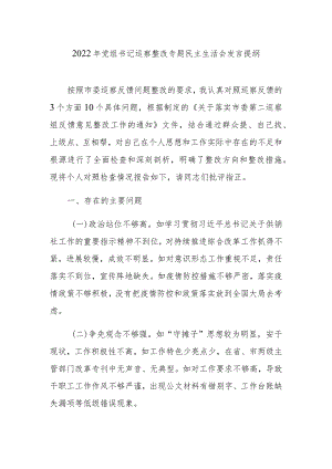 2022年党组书记巡察整改专题民主生活会发言提纲.docx