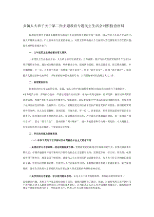 乡镇人大班子关于第二批主题教育专题民主生活会对照检查材料.docx