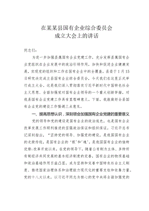 在某某县国有企业综合委员会成立大会上的讲话.docx