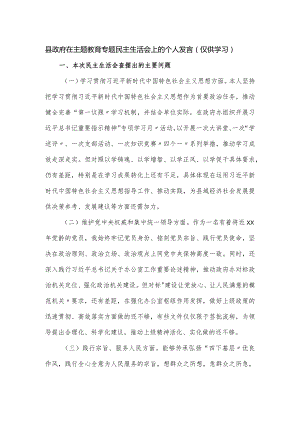 县政府在主题教育专题民主生活会上的个人发言.docx