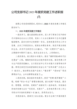 公司支部书记2023年度抓党建工作述职报告.docx