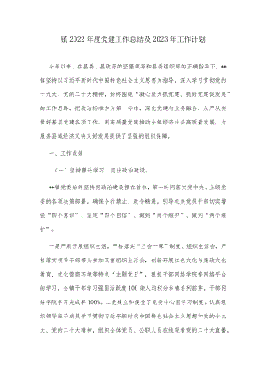镇2022年度党建工作总结及2023年工作计划.docx