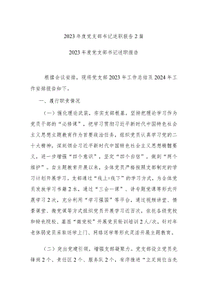 2023年度党支部书记述职报告2篇.docx