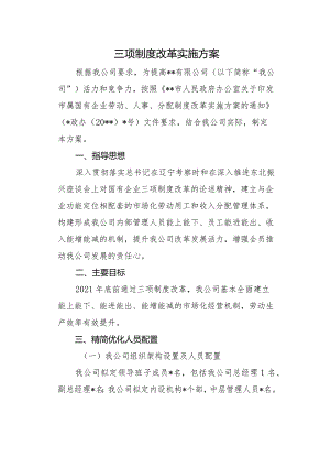 三项制度改革实施方案.docx