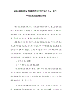 2024年普通党员主题教育专题组织生活会个人（新四个检视）发言提纲合集篇.docx