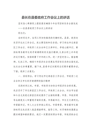 县长在县委政府工作会议上的讲话.docx