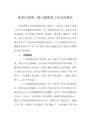 某某区委第二批主题教育工作总结报告.docx