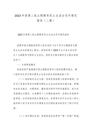 2023年度第二批主题教育民主生活会召开情况报告(二篇).docx