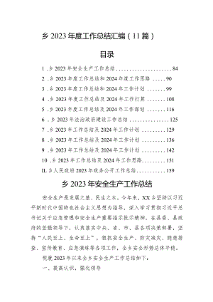 乡2023年度工作总结汇编（11篇）.docx
