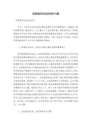支部组织生活会材料六篇.docx