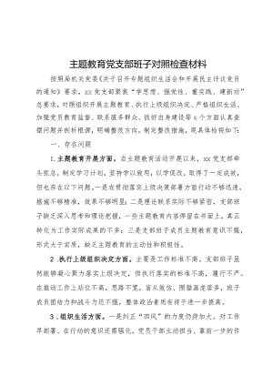 主题教育党支部班子对照检查材料.docx