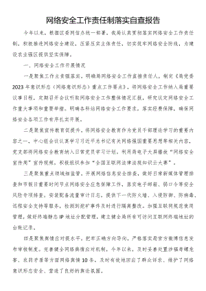 网络安全工作责任制落实自查报告.docx