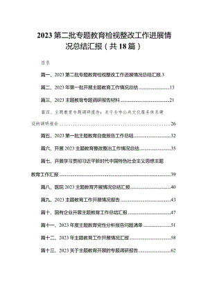 第二批专题教育检视整改工作进展情况总结汇报18篇(最新精选).docx