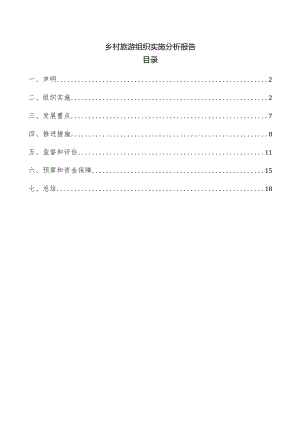 乡村旅游组织实施分析报告.docx