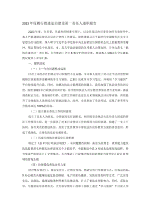 2023年度履行推进法治建设第一责任人述职报告.docx