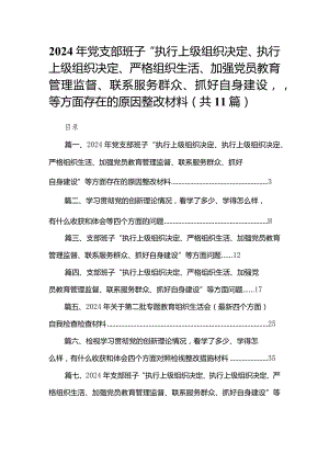 （11篇）2024年党支部班子“执行上级组织决定、执行上级组织决定、严格组织生活、加强党员教育管理监督、联系服务群众、抓好自身建设”等方面.docx