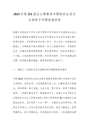 2023年度XX国企主题教育专题组织生活会支部班子对照检查材料.docx