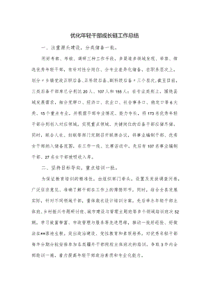 优化年轻干部成长链工作总结.docx