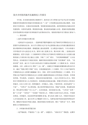 某乡乡村组织振兴实施情况工作报告.docx