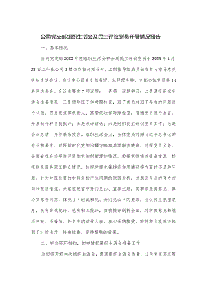 公司党支部组织生活会及民主评议党员开展情况报告.docx