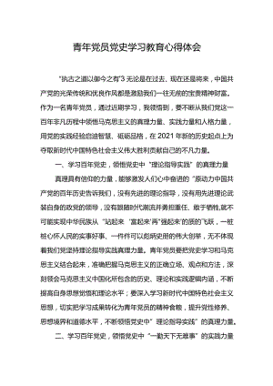 青年党员党史学习教育心得体会.docx