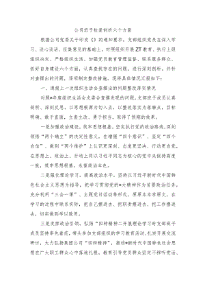 公司班子检查剖析六个方面.docx