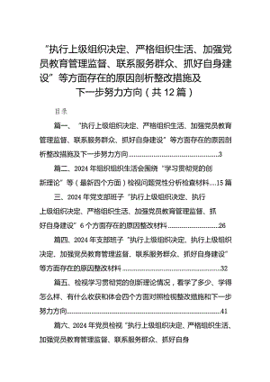 “执行上级组织决定、严格组织生活、加强党员教育管理监督、联系服务群众、抓好自身建设”等方面存在的原因剖析整改措施及下一步努力方向.docx