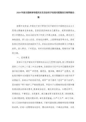 2024年度主题教育专题民主生活会班子检视问题整改方案两篇合集.docx