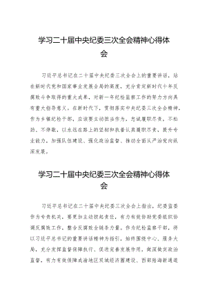 2024年纪检干部关于学习二十届中央纪委三次全会精神心得体会十九篇.docx