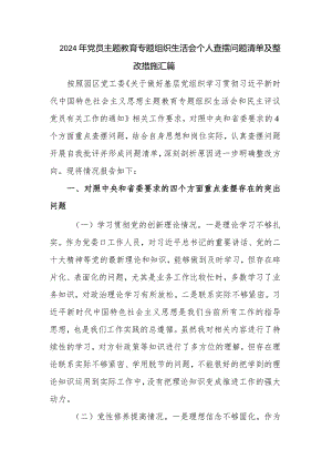 2024年党员主题教育专题组织生活会个人查摆问题清单及整改措施汇篇.docx