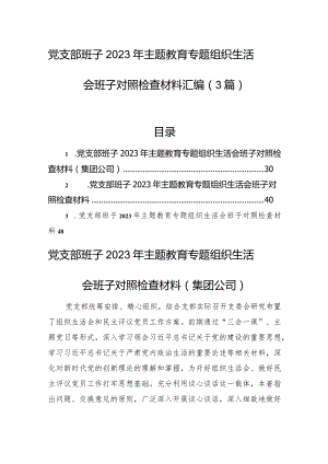 党支部班子2023年主题教育组织生活会班子对照检查材料汇编（3篇）.docx