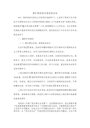 煤矿燃料部支部述职总结.docx