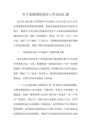 关于民族团结进步工作总结汇报.docx