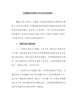 巡察整改专题民主生活会发言提纲一.docx