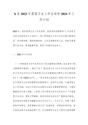 X县2023年爱国卫生工作总结和2024年工作计划.docx