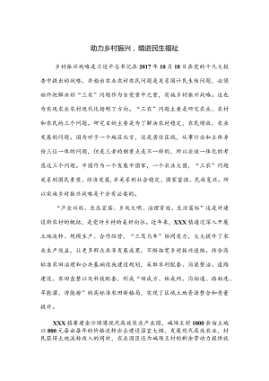 助力乡村振兴增进民生福祉.docx