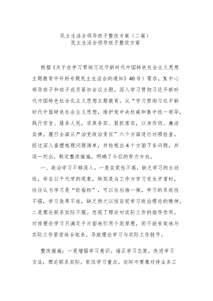 民主生活会领导班子整改方案(二篇).docx