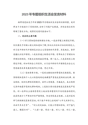 2023年专题组织生活会发言材料.docx