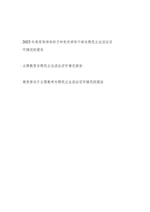2024年单位领导班子专题民主生活会召开情况的报告3篇.docx