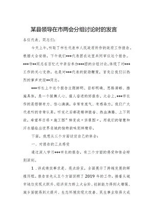 某县领导在市两会分组讨论时的发言.docx